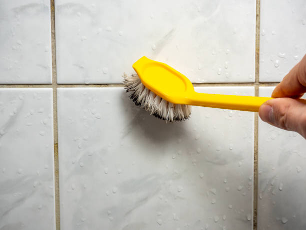 Best Mold Damage Repair  in West Dundee, IL