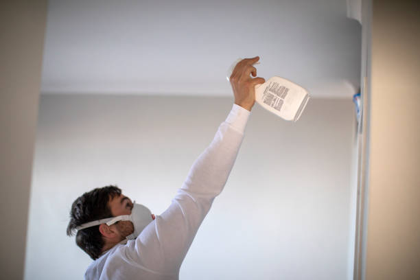 Best Mold Testing  in West Dundee, IL