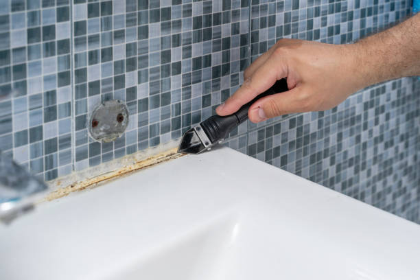 Best Fast Mold Removal  in West Dundee, IL