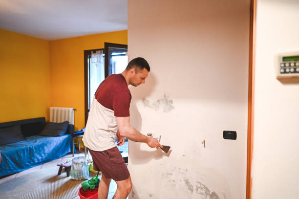 Best Office Mold Removal Services  in West Dundee, IL
